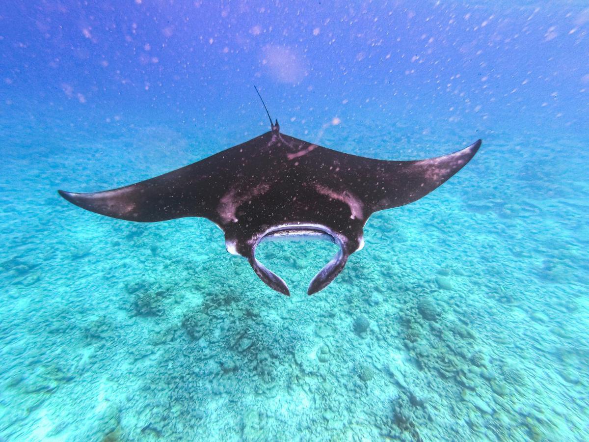 Nemo Inn Omadhoo Экстерьер фото