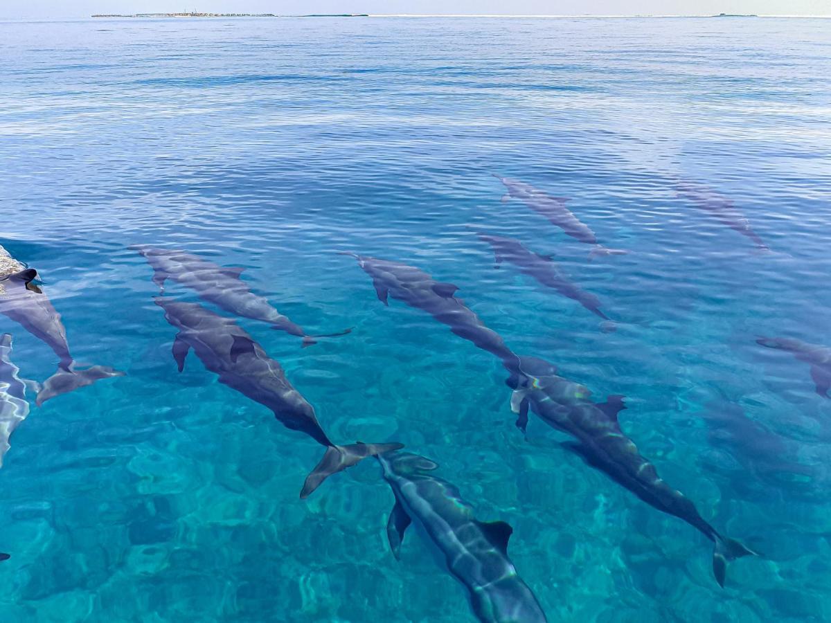 Nemo Inn Omadhoo Экстерьер фото